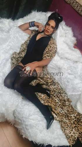 trans girl DanyellaAtve 6743317 trans girl DanyellaAtve 6743317