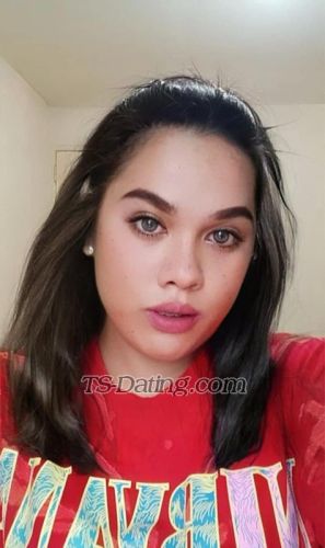 trans girl DaphneXOXO 3385930 trans girl DaphneXOXO 3385930