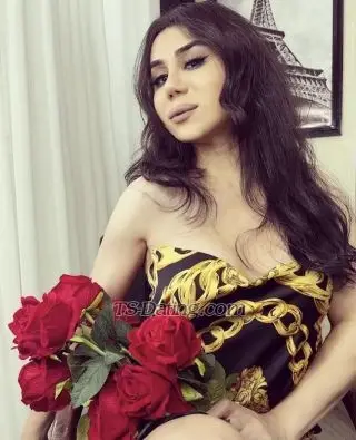 Shemale DarinaQueen 3484144 Shemale DarinaQueen 3484144