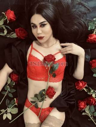 trans girl DarinaQueen 5631802 trans girl DarinaQueen 5631802
