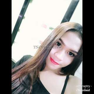 trans girl Davinaalmir 3232833 trans girl Davinaalmir 3232833