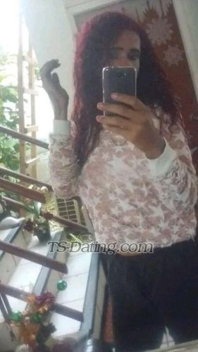 trans girl DayanaDior 3781349
