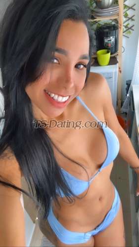 trans girl Dayanealves 9624575 trans girl Dayanealves 9624575