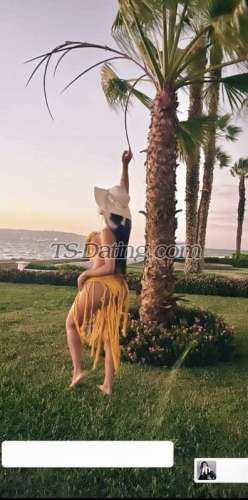 trans girl Dayrapiel 4428222 trans girl Dayrapiel 4428222