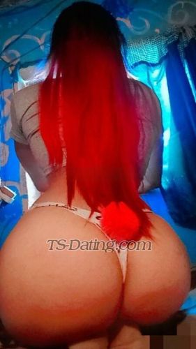 trans girl DeboraCamil 8900157 trans girl DeboraCamil 8900157