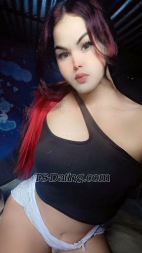 trans girl DeboraCamil 8900186 trans girl DeboraCamil 8900186