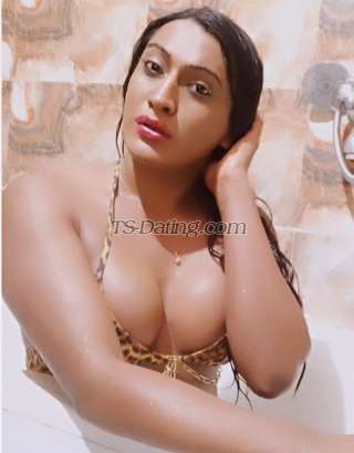 trans girl Deksha 4690877 trans girl Deksha 4690877