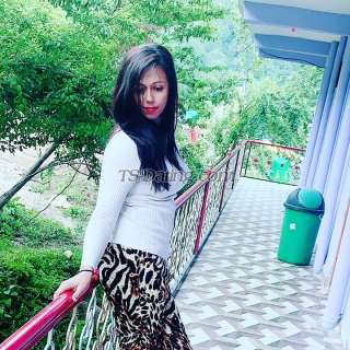 trans girl Devina4u 7302494 trans girl Devina4u 7302494