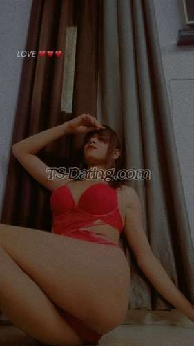 trans girl Diksha96 9149067 trans girl Diksha96 9149067