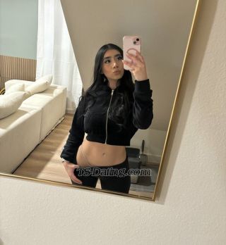 trans girl Dina44 9301090 trans girl Dina44 9301090