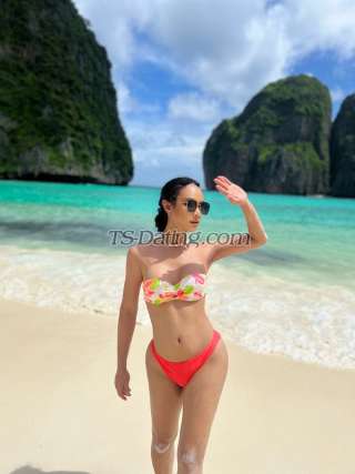 trans girl Dissara 6636164 trans girl Dissara 6636164