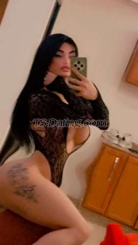 trans girl Divaa1 2895216