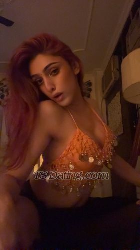 trans girl DojaCat 8660651 trans girl DojaCat 8660651