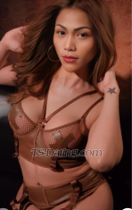 Dominanttrans Angeles City Transex  Hallo zusammen, ich bin ein Transsexueller aus Angeles City und freue mich, verschiedene Shows anbieten zu können, die euch zufriedenstellen. Einzelausstellung 25 $ Trans mit Trans 40$ Trans mit Mädchen 50 $ Trans mit Männern 35 $ Schmutzige Show 40 $ Dominanz 30 $ Ich bin nicht hier, um Spielchen zu spielen. Wenn Sie versuchen, mich auszutricksen, habe ich dafür keine Zeit.