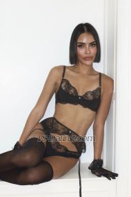 Dorothy KOL Bangkok Transex  🐍WhatsApp +66909839060 ( I prefer to talk )🌺
WeChat : NEW123wwww🍒Hi IRIN From 🇹🇭 Thailand
Beach Girl 👩🏾 Tall,Tanned Skin And Unique
Ladyboy🤍Attracted When Meeting The Real
Me💋ONLY SERIOUS CLIENTS AND REAL MEET❌Don't
play games. #Cute Dick And Clean💖I am a
sweet,and friendly person..💋Feeling GF And Nice
Date🎾Exercise and play Pilates, Panda and
Tennis.🌺Spending time together with
you.💋Hope I can meet you. XOXO✅Verified
Profile✅- Welcome for First-timer -- Everything
will be secret -I am 100% like my pictures. so no
surprises!!Add My Content For more
information🏖LINE : Nopphasonnew