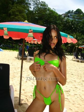 trans girl DorothyKOL 3805801