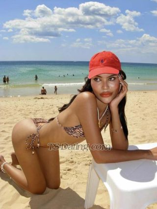 trans girl DorothyKOL 8971258