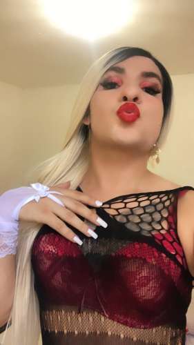 Drika1879027 0427269 Drika1879027 0427269