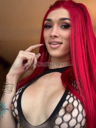 trans girl Dulcemariap 6952182 trans girl Dulcemariap 6952182