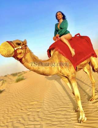 trans girl dProvocateur 8749606 trans girl dProvocateur 8749606