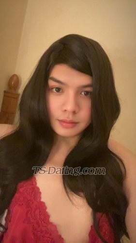 trans girl dacarajp11 7880254 trans girl dacarajp11 7880254