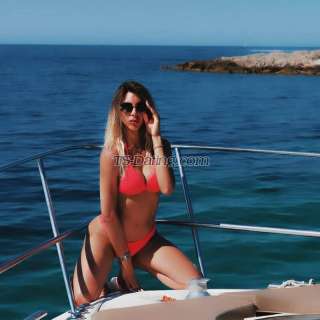 trans girl daliaherrera 4433996 trans girl daliaherrera 4433996