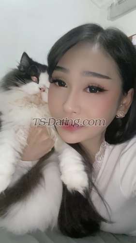 trans girl dhit99 3029207