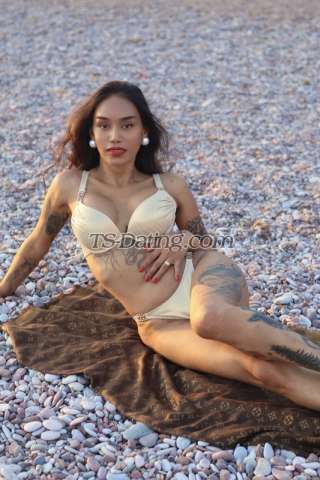 trans girl diane24 0653910 trans girl diane24 0653910