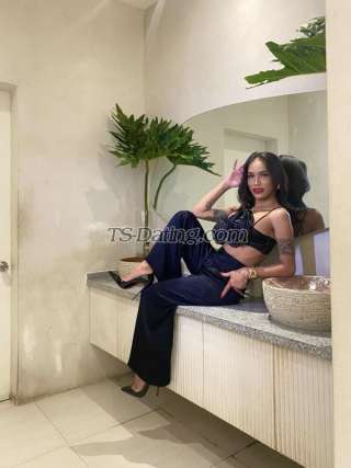 trans girl diane24 3096059 trans girl diane24 3096059