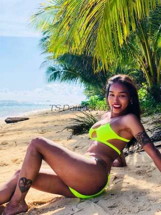 trans girl diane24 9205055 trans girl diane24 9205055