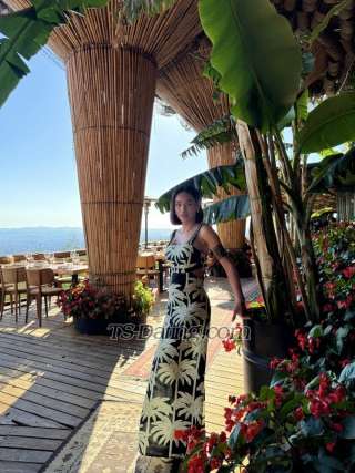 trans girl diane24 9237528 trans girl diane24 9237528