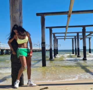 trans girl EBONYGODDESS 8554775 trans girl EBONYGODDESS 8554775