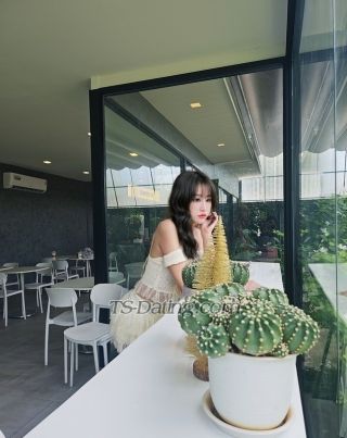 trans girl Elizabethone 1530704 trans girl Elizabethone 1530704