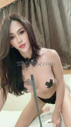 trans girl EllaBigDick 7666041