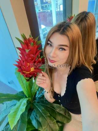 trans girl ElloisVuitton 3824986 trans girl ElloisVuitton 3824986