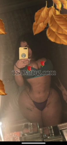 trans girl Elnaz 7767602 trans girl Elnaz 7767602