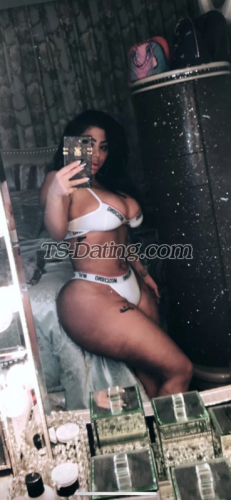 trans girl Elnaz 7767991 trans girl Elnaz 7767991