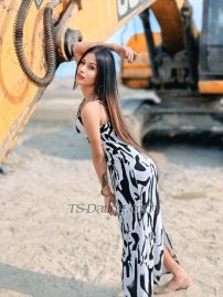 Erotic Ariyaa Jaipur Transex Hello All, Natural Beauty Baby Ariya here!♨️

Now Stay for a few days in your CITY Ahemdabad hurry up & Grab me now.😋😋


You can reach me over call or WhatsApp 9123333414🤙🤙
Telegram @Tsdatin

I am an exclusive escort here and below you can find all my photos that are genuine and 100% authentic.

First Timers, Straight, Bi-Sexuals / Bi-Curious, Visitors, Foreigners, Adventurous & Open-Minded People etc.. are welcome anytime and they will be taken care well.

Most Feminine Figure Soft Slim with Fair complexion body and a pretty face, 34B Curvy Natural Boobs and Active Pussy which can't be missed.

I do provide entire Sex Services like
⭐️Lick & Suck in 69 position
⭐️Active Anal
⭐️Active & Passive
⭐️Roleplay
⭐️Massage with happy finish
⭐️Bondage Play
⭐️Soft Domination
⭐️Strong Domination
⭐️Spitting in your face
⭐️Ass Play
⭐️Woman dress for you (Client Feminization)
⭐️Golden Shower
⭐️French Kissing (Non-Smokers)
⭐️Oral deep throat

Outstation Calls & Pre-booking Sessions to various Cities are also Open. CAM Sessions in  both live & recorded forms available.

Payment Modes Accepted as below,
✅Cash
✅GPAY, ✅PHONE PE,✅ PAYTM UPI 
✅ Account Transfer avl

Fulfill your Fantasies and Erotic Desires and reach me out directly. Only genuine people can contact me for 100% Satisfaction.