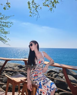 trans girl Eva120539 4974452