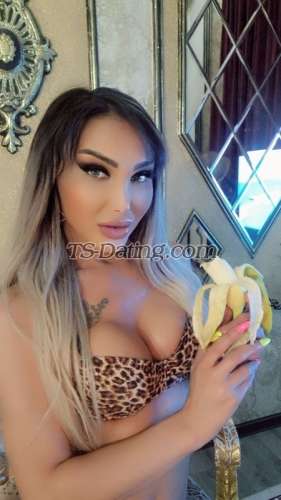 trans girl ExtrimeRoya 1324782 trans girl ExtrimeRoya 1324782