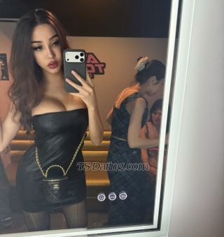 trans girl exotickhalifa 8027414