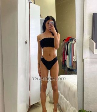 trans girl FAUNA222 2132866 trans girl FAUNA222 2132866