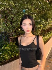 Faceliufx Bangkok Transex Je peux faire les deux, mais j'aime mieux le haut🐍🩷 J'adore baiser et je suis doué pour ça. - - venez essayer. J'aime aussi si tu veux me sucer. Venez m'essayer, j'espère pouvoir vous faire revenir plusieurs fois. Mais si tu fais semblant, ne m'envoie jamais de SMS, merci. 🙏🏻 Sexe protégé uniquement ! 📍BKK, Thaïlande (je suis thaïlandais) Contact pour le travail WhatsApp +66939422423 Télégramme : faceliufx IG : Facepunn