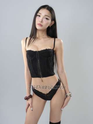 trans girl Faceliufx 3058203 trans girl Faceliufx 3058203