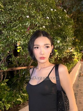 trans girl Faceliufx 8132784 trans girl Faceliufx 8132784