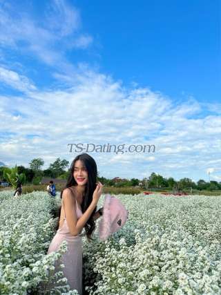 trans girl Fah1308 0299375 trans girl Fah1308 0299375