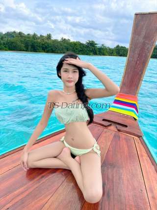 trans girl Fah1308 4175109 trans girl Fah1308 4175109