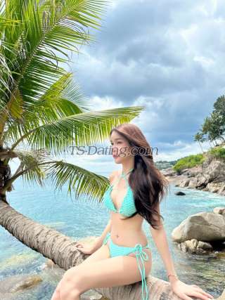 trans girl Fah1308 5422417 trans girl Fah1308 5422417