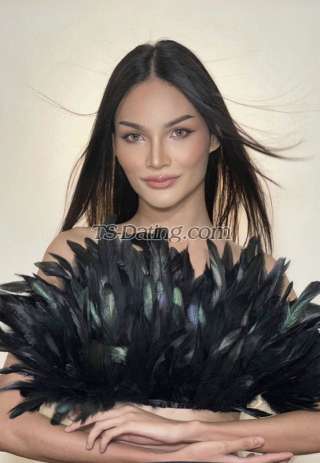 trans girl FairyFirst 5922498 trans girl FairyFirst 5922498