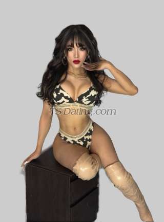 trans girl Famemassive 7902618 trans girl Famemassive 7902618